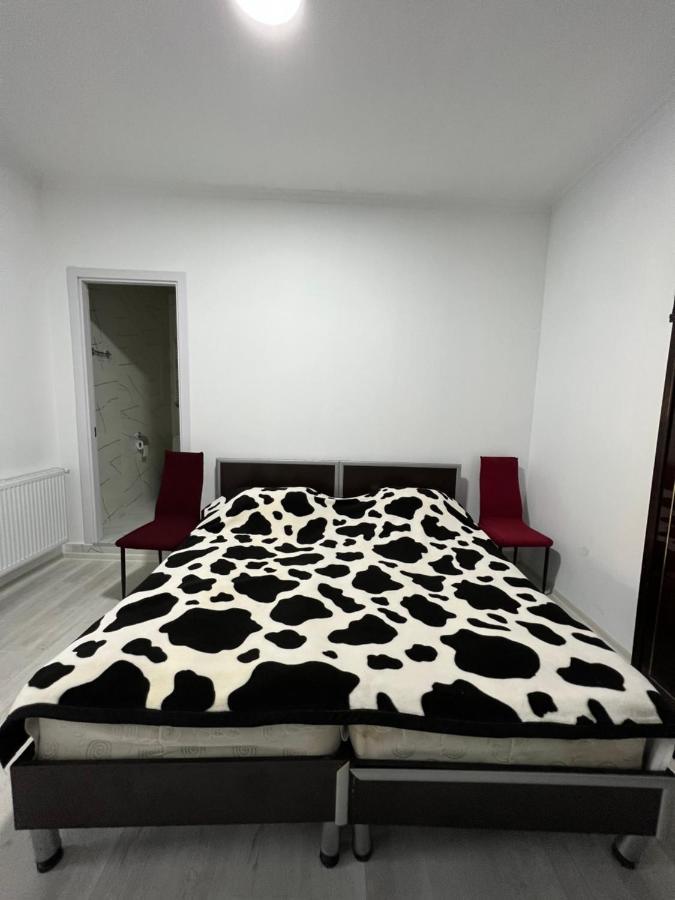 Guest House Lali Sighnaghi Bagian luar foto